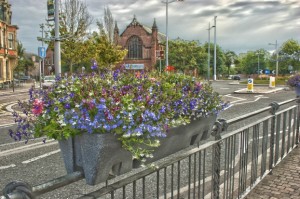 hoylake flowers