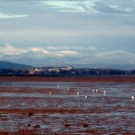 welsh mountains behind hilbre